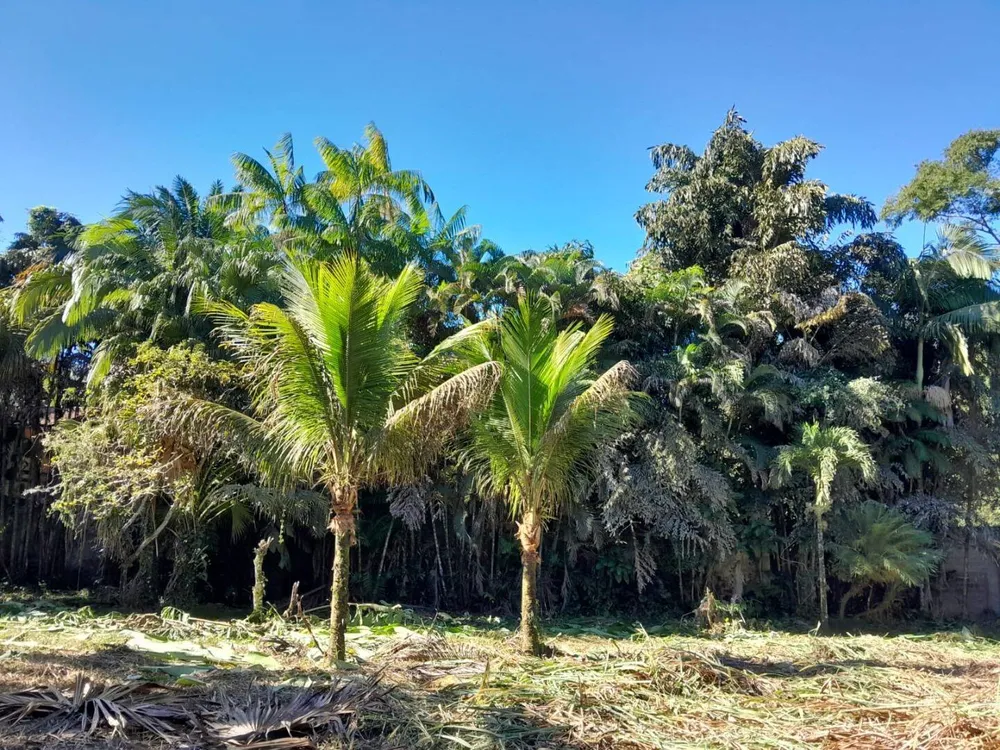 Terreno, 500 m² - Foto 1