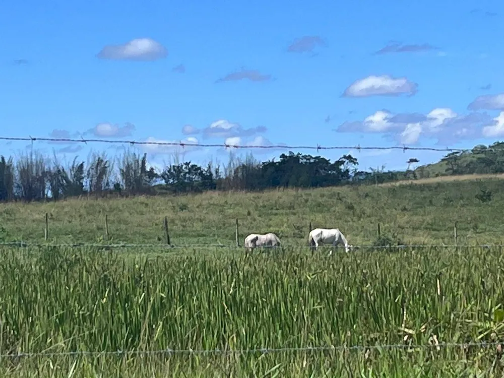Terreno, 126 hectares - Foto 49