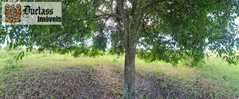 Terreno, 126 hectares - Foto 101