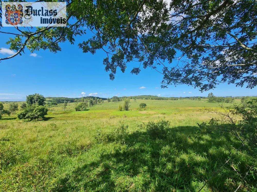 Terreno, 126 hectares - Foto 72