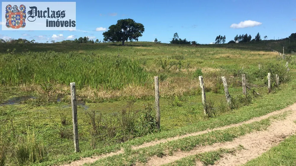 Terreno, 126 hectares - Foto 14