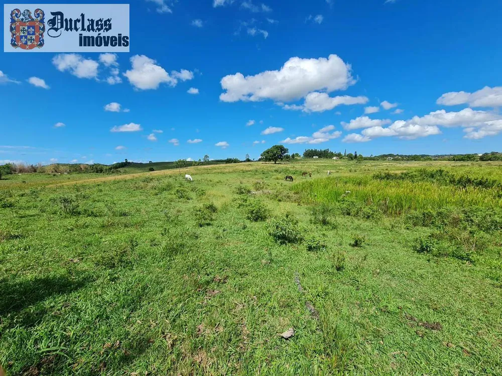 Terreno, 126 hectares - Foto 114