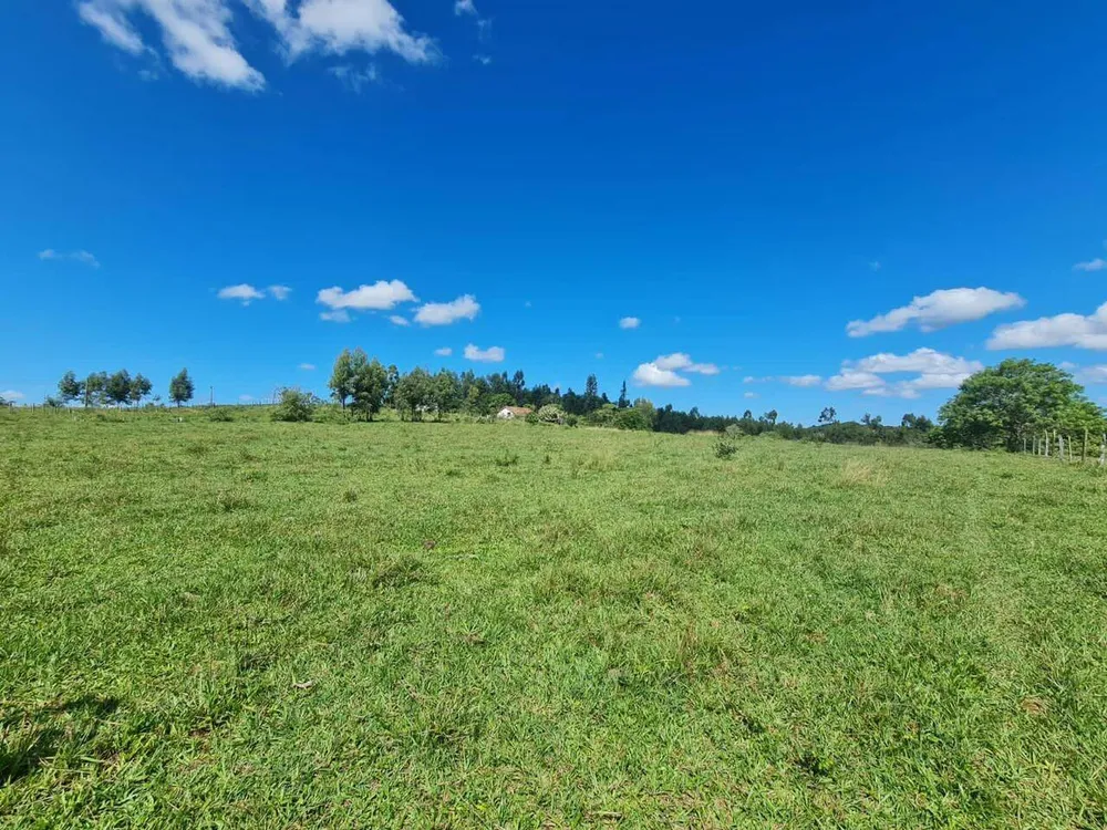 Terreno, 126 hectares - Foto 78