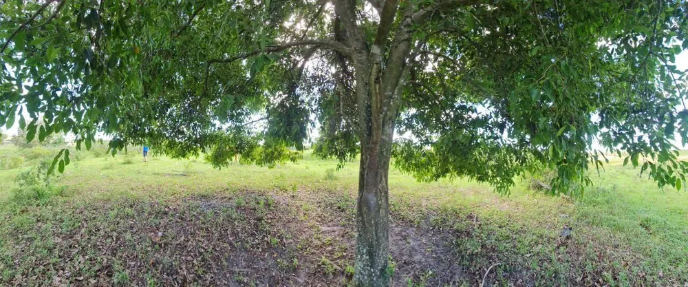 Terreno, 126 hectares - Foto 102