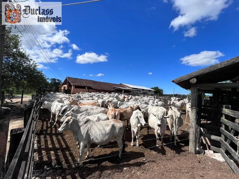 Terreno, 126 hectares - Foto 62