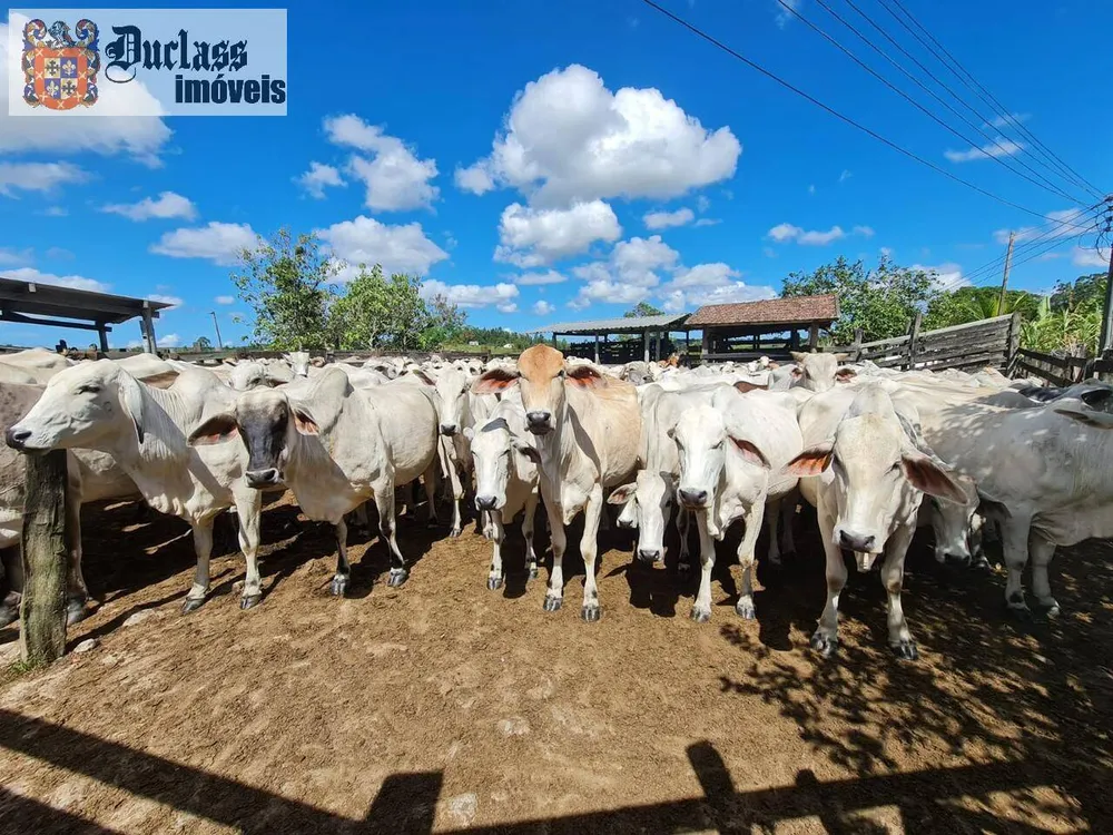Terreno, 126 hectares - Foto 112