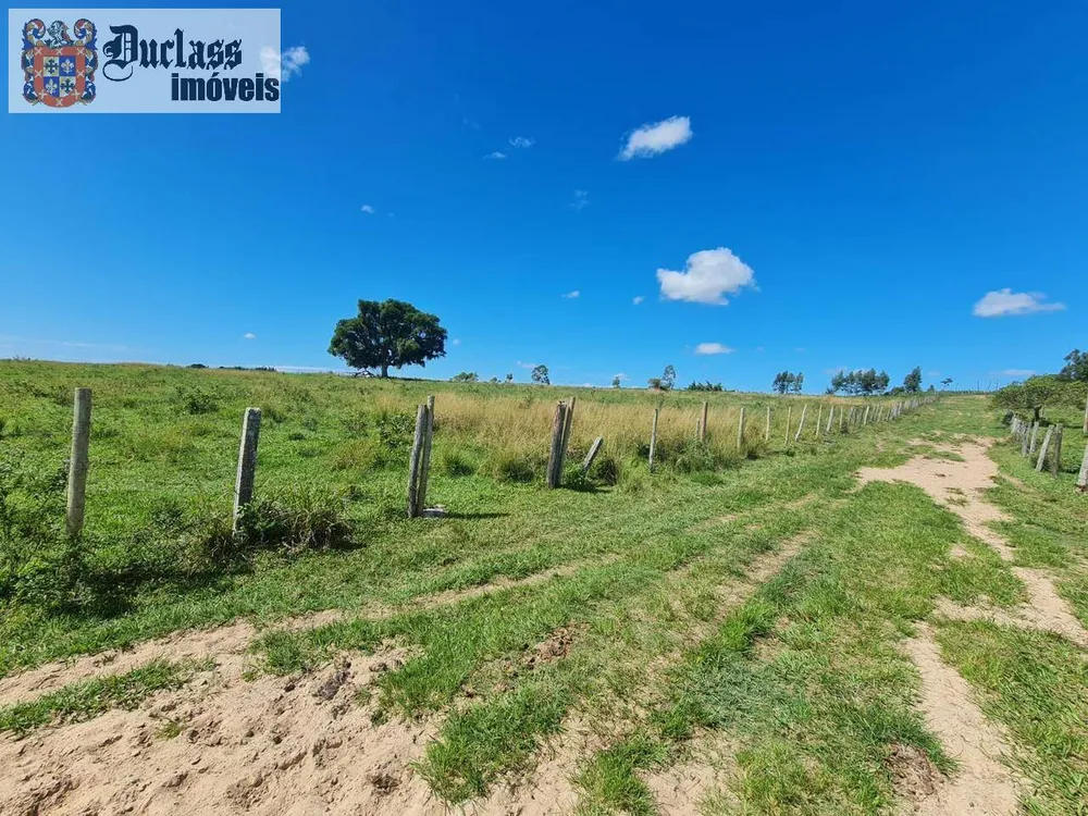Terreno, 126 hectares - Foto 81