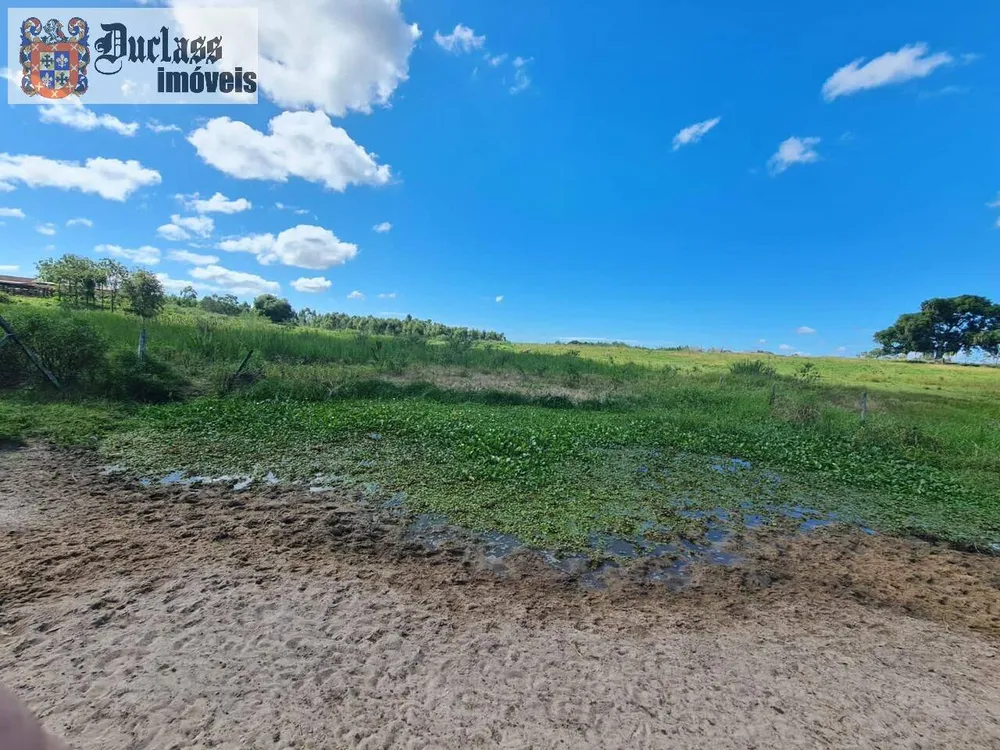 Terreno, 126 hectares - Foto 107