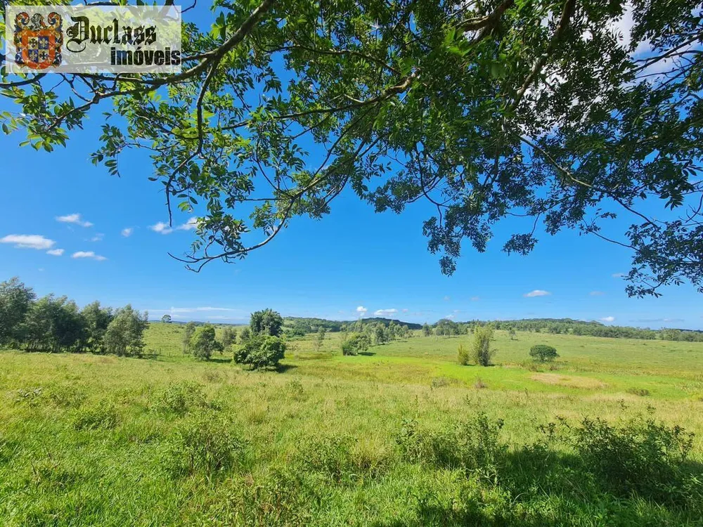 Terreno, 126 hectares - Foto 70