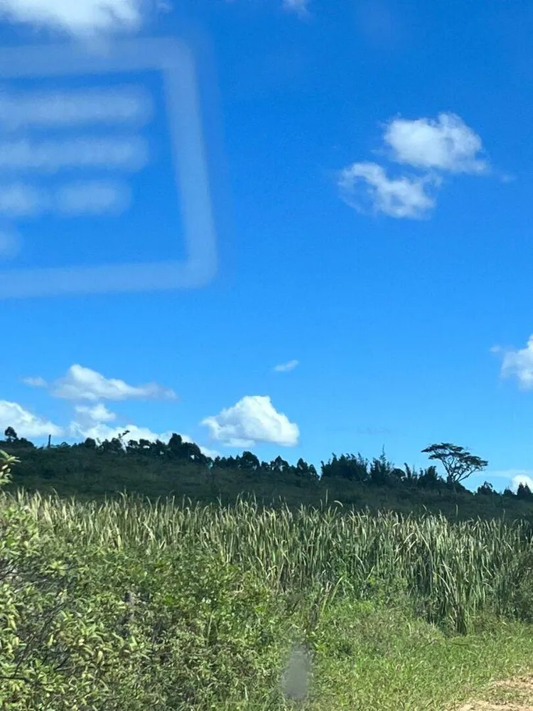 Terreno, 126 hectares - Foto 46