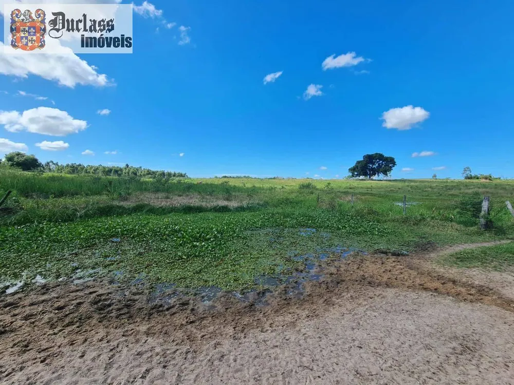 Terreno, 126 hectares - Foto 105
