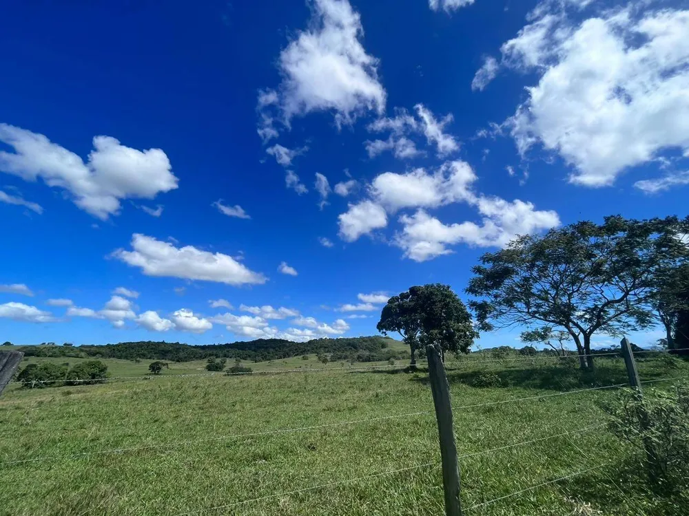 Terreno, 126 hectares - Foto 34