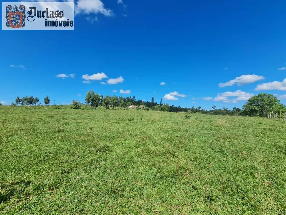 Terreno, 126 hectares - Foto 77