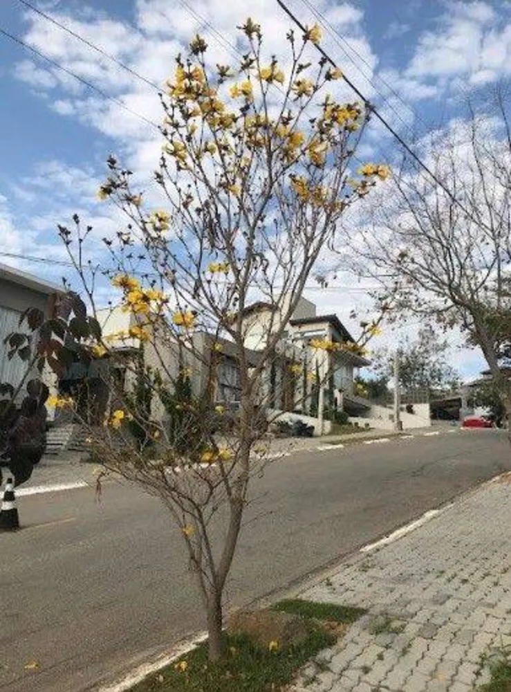 Casa, 3 quartos, 153 m² - Foto 4