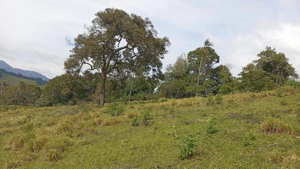 Terreno, 4750 m² - Foto 12