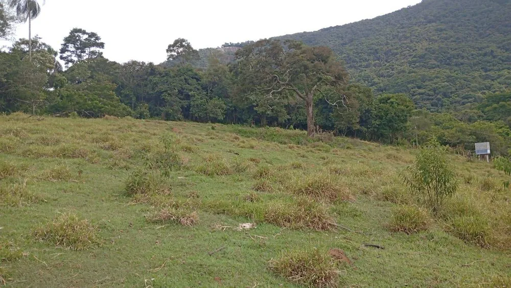 Terreno, 4750 m² - Foto 3