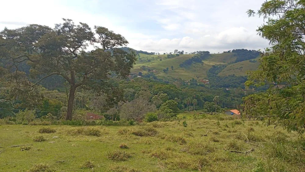 Terreno, 4750 m² - Foto 4