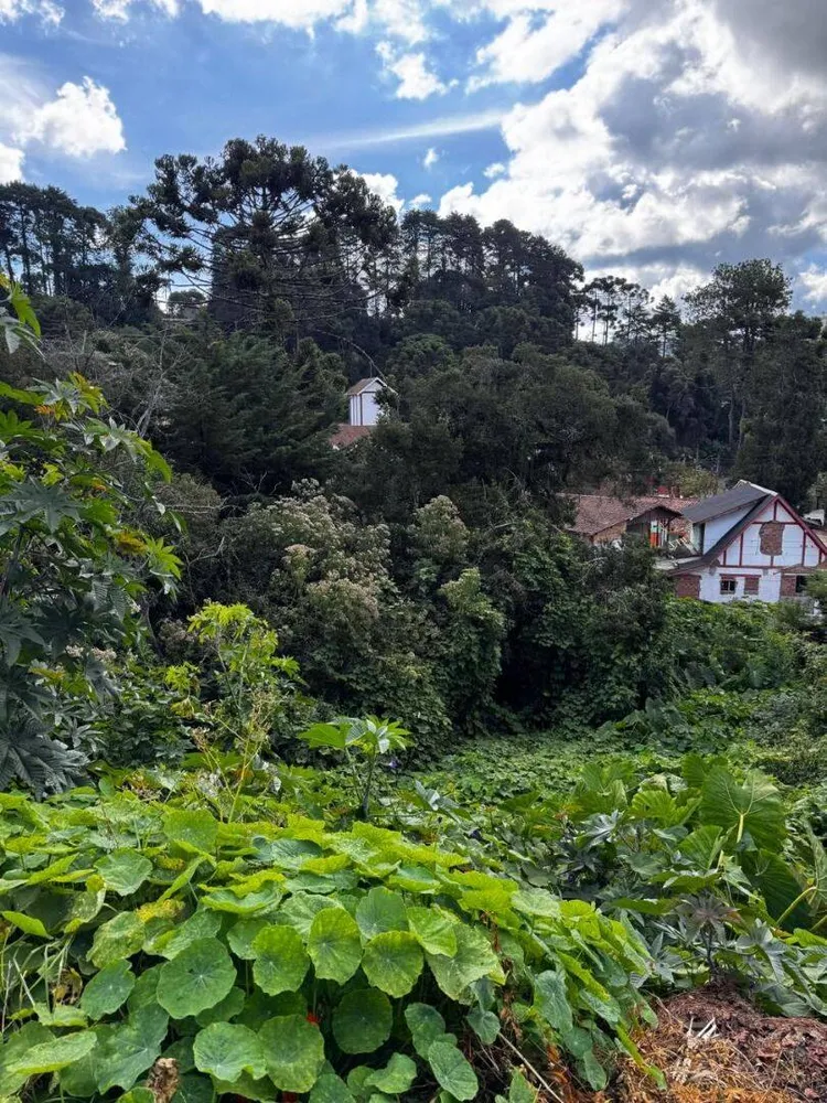 Terreno, 850 m² - Foto 2