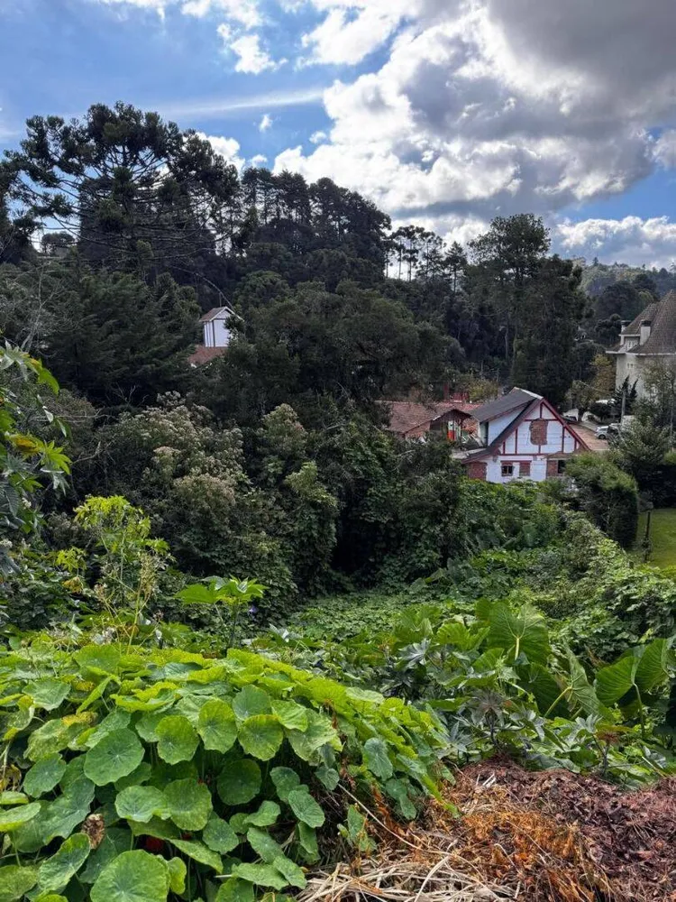 Terreno, 850 m² - Foto 3