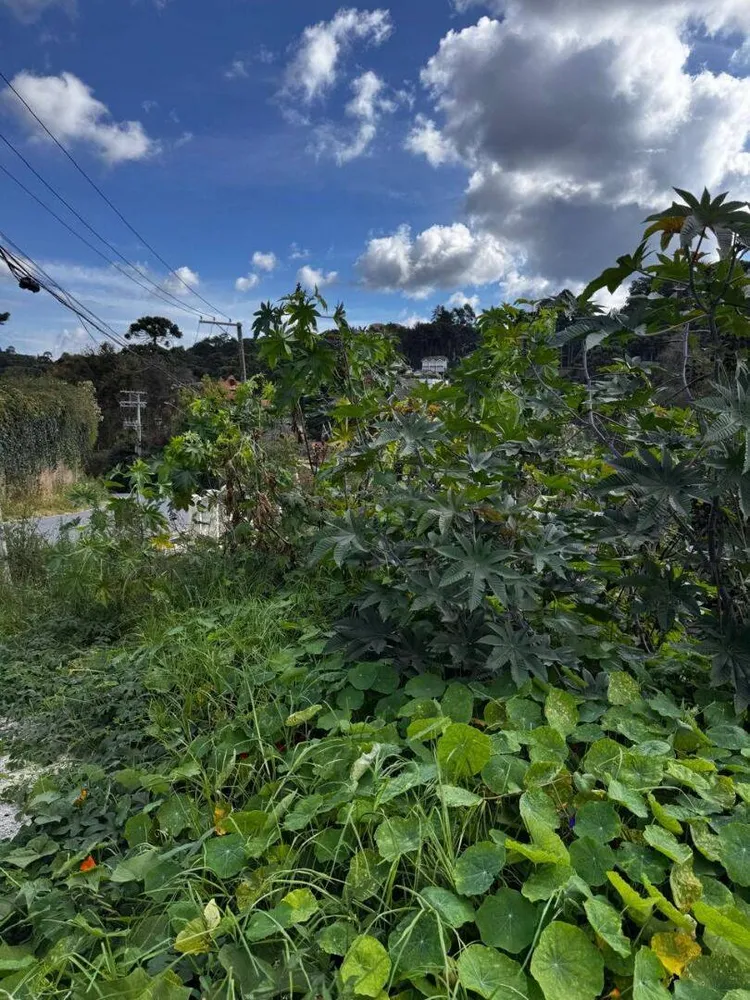Terreno, 850 m² - Foto 1