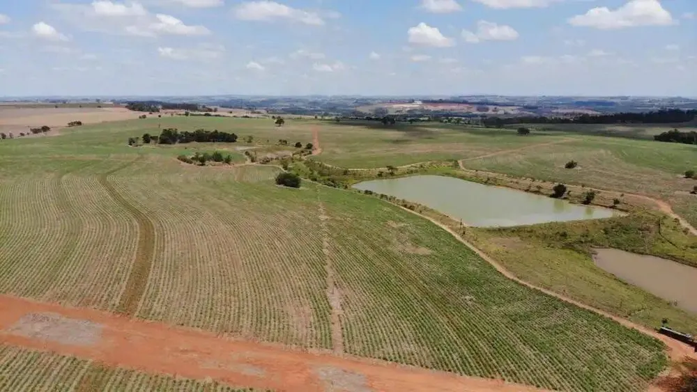 Terreno, 231 hectares - Foto 9