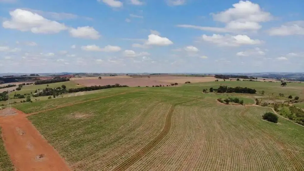 Terreno, 231 hectares - Foto 10