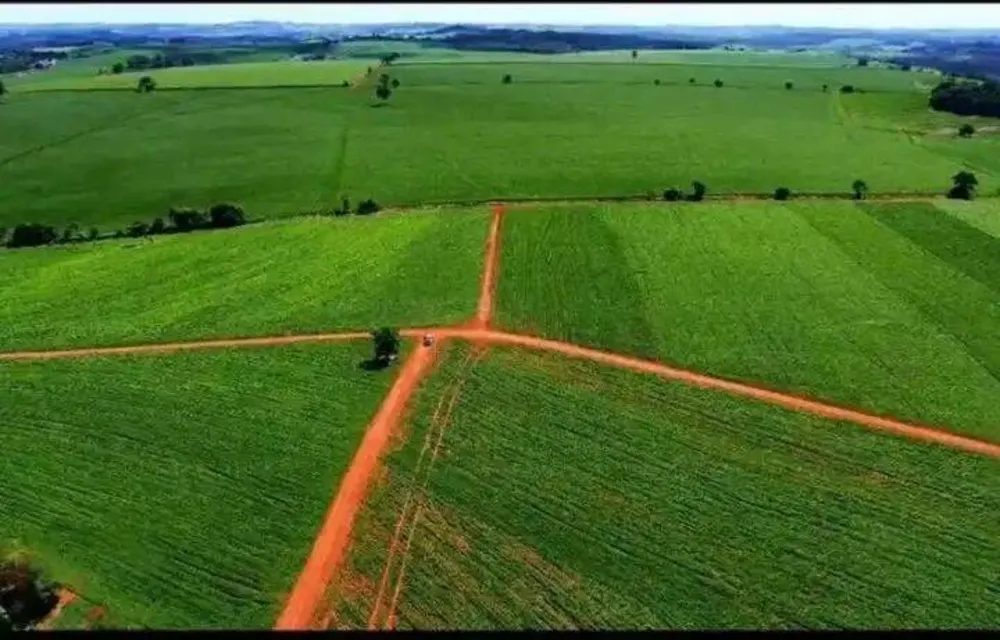Terreno, 231 hectares - Foto 7