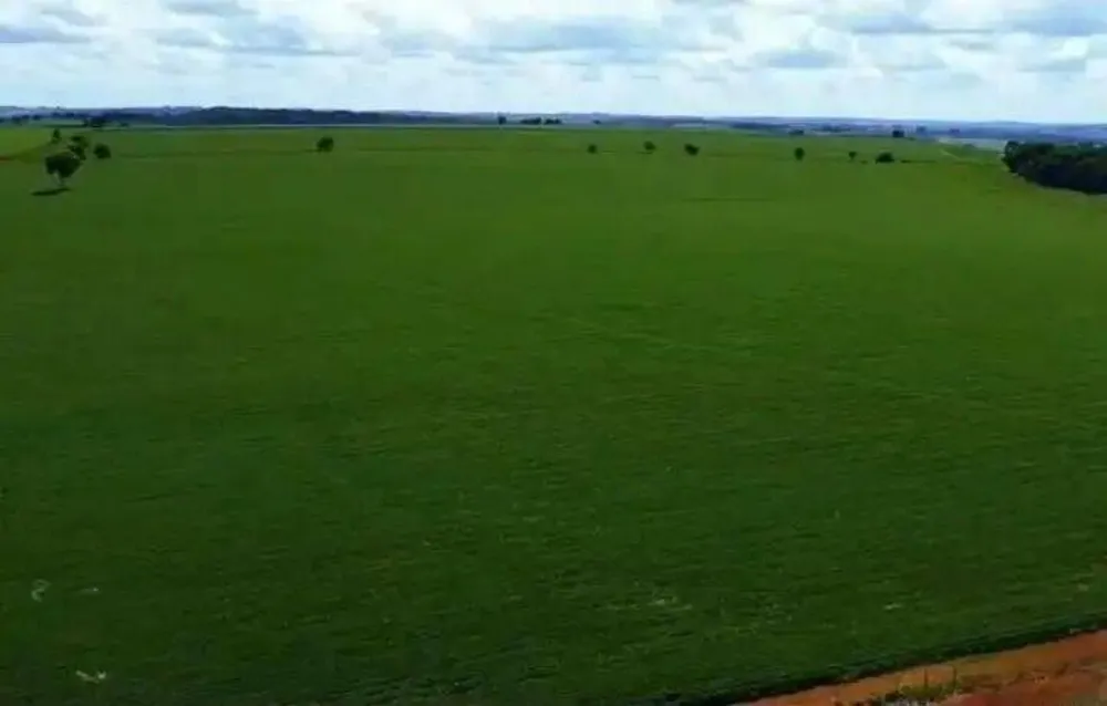 Terreno, 231 hectares - Foto 12