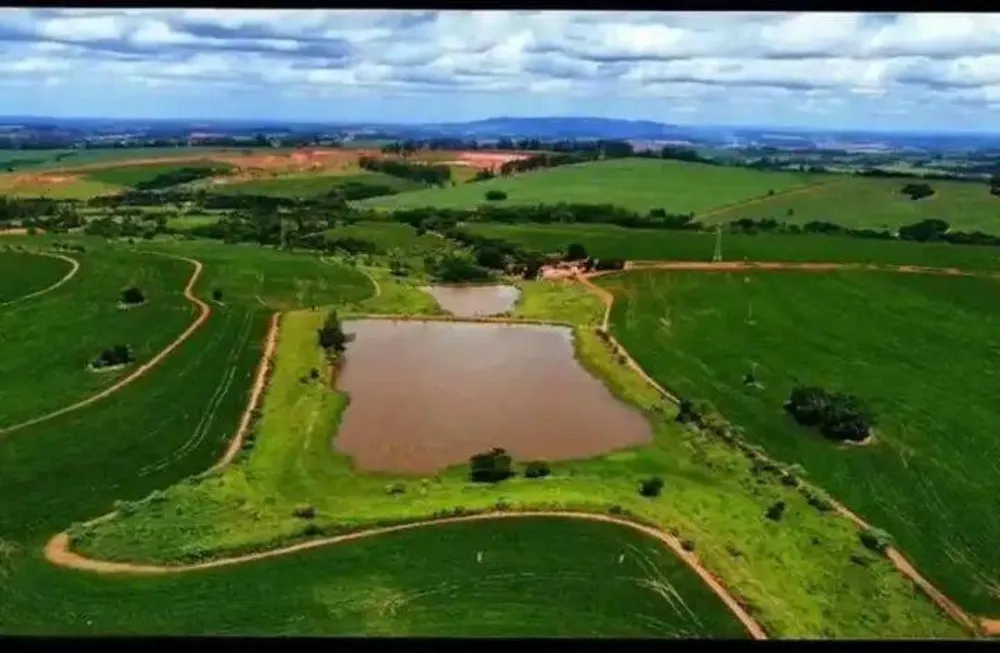 Terreno, 231 hectares - Foto 1