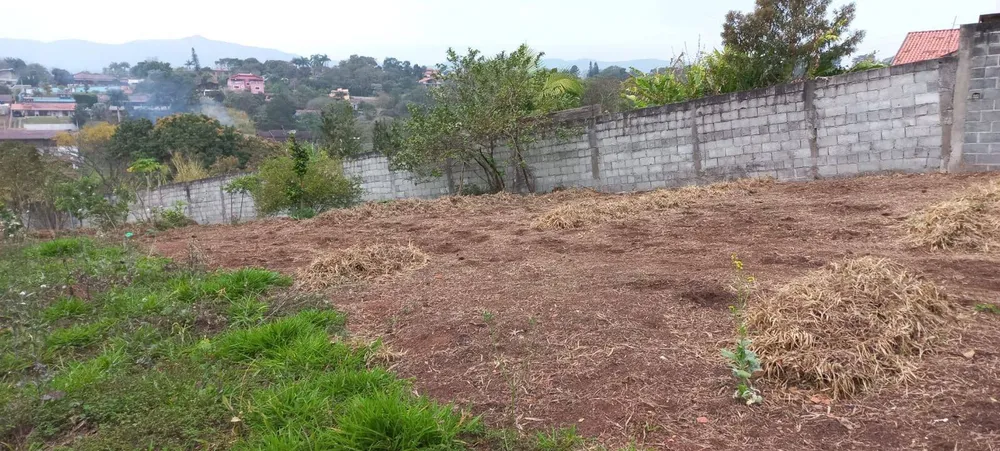 Terreno, 2000 m² - Foto 4