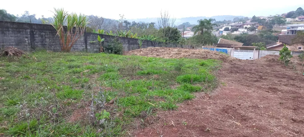 Terreno, 2000 m² - Foto 6