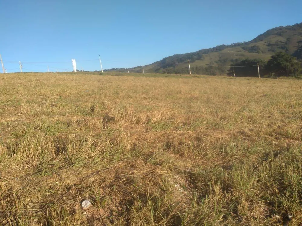 Terreno, 1167 m² - Foto 4