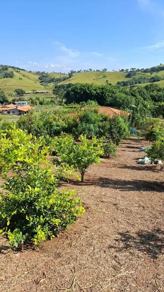 Chácara, 2 quartos, 5938 m² - Foto 3