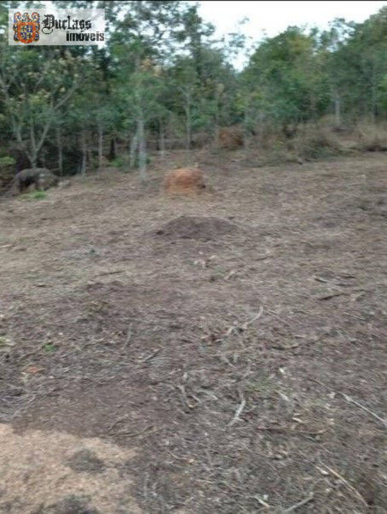Terreno à venda, 600m² - Foto 3