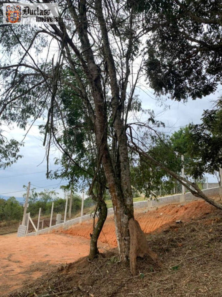 Terreno à venda, 600m² - Foto 4