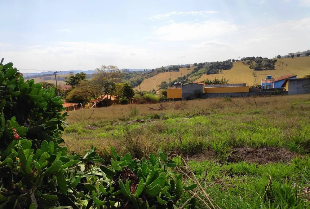 Terreno, 3000 m² - Foto 3