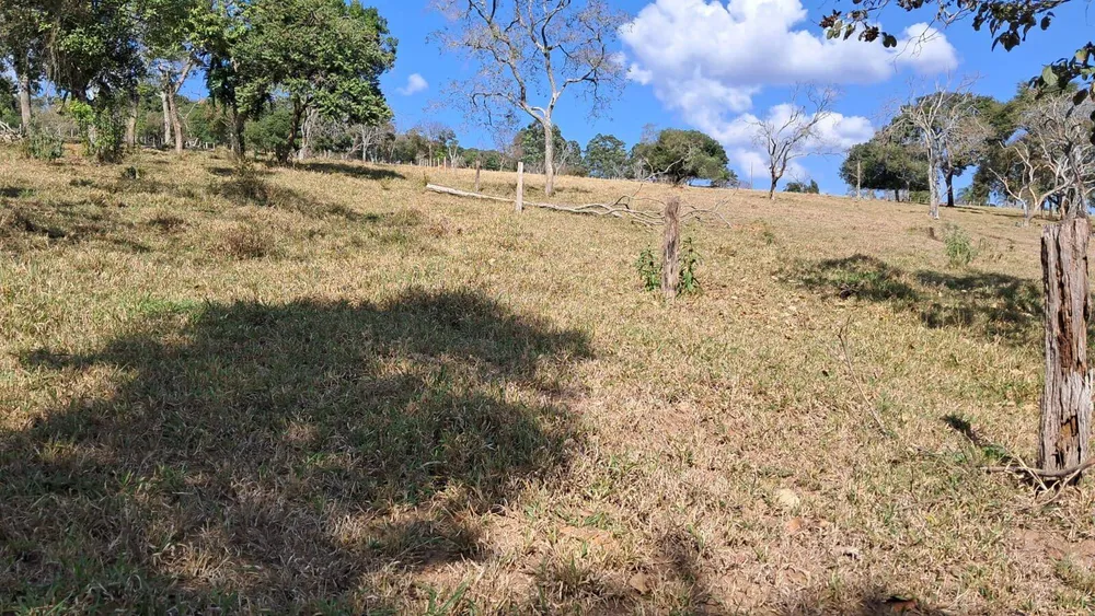 Sítio, 4 quartos, 6 hectares - Foto 3