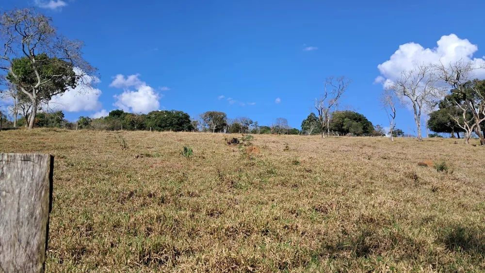 Sítio, 4 quartos, 6 hectares - Foto 4