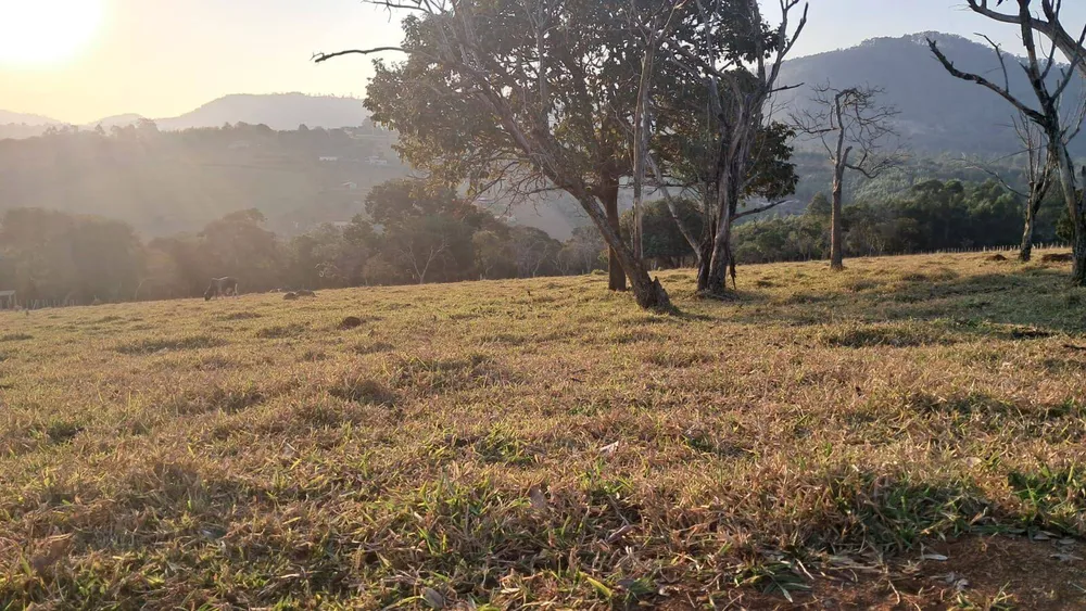 Sítio, 4 quartos, 6 hectares - Foto 1