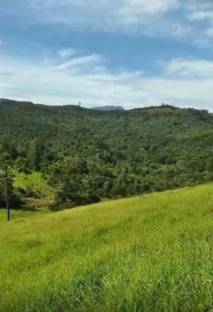 Prédio Inteiro - Foto 2