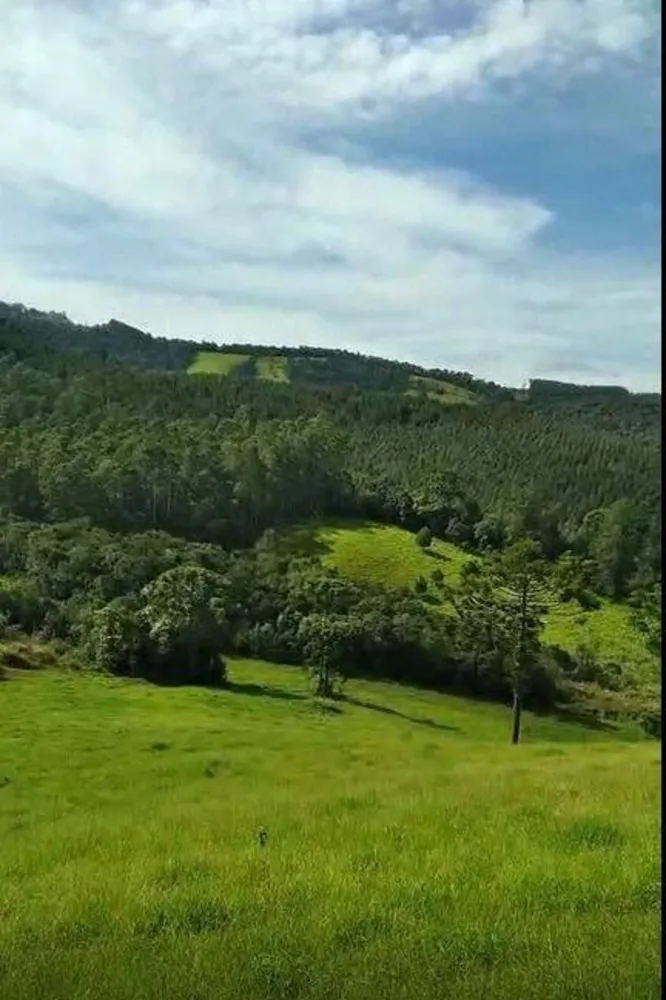 Prédio Inteiro - Foto 1