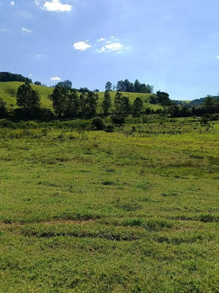 Prédio Inteiro - Foto 5