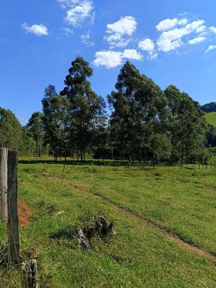 Prédio Inteiro - Foto 4