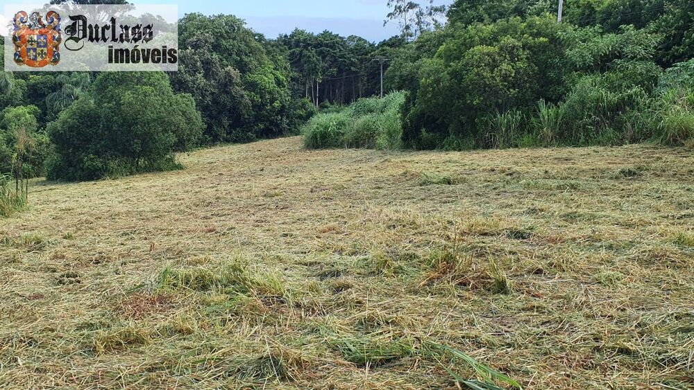 Prédio Inteiro à venda, 40000m² - Foto 2