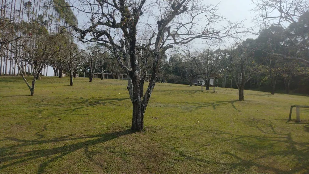 Terreno, 15 hectares - Foto 4