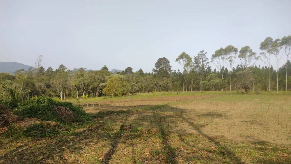Terreno, 15 hectares - Foto 6