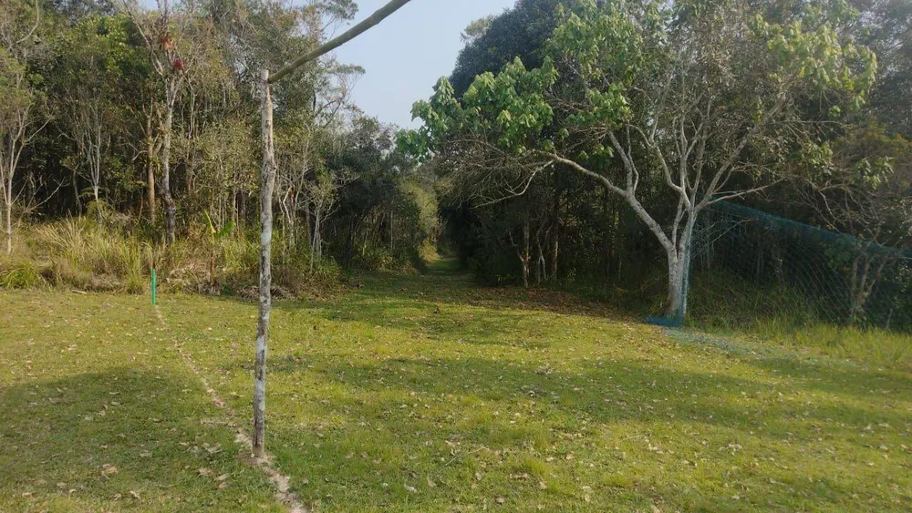 Terreno, 15 hectares - Foto 7