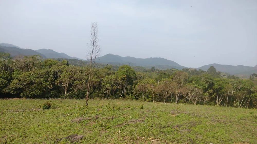 Terreno, 15 hectares - Foto 2