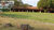 Sítio, 6 quartos, 2 hectares - Foto 4