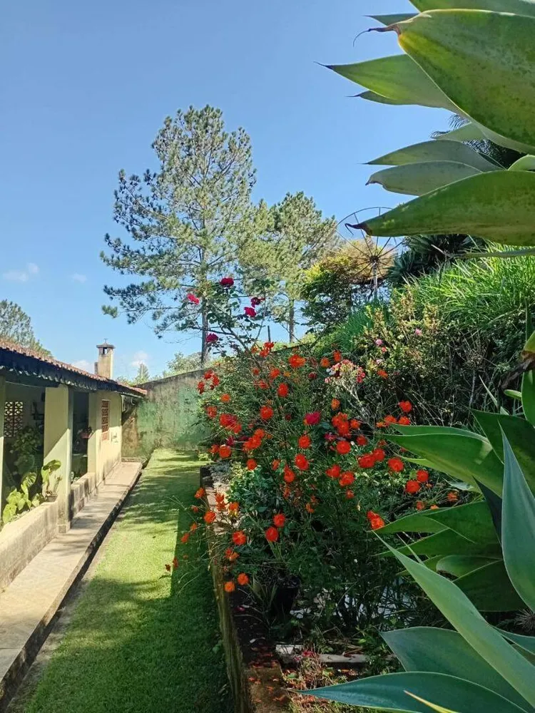 Chácara, 6 quartos, 9070 m² - Foto 12